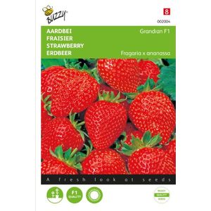 Buzzy ® Aardbeien Sarian F1
