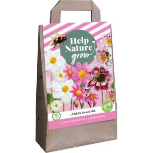 Bloembollen tas Dahlia Sweet Mix (voor 1 m2)