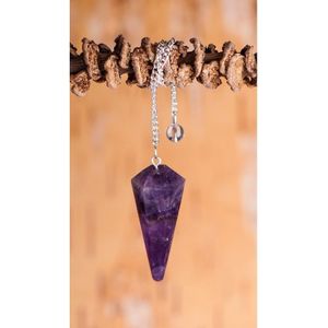 Pendel zeshoekig amethist
