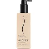 Champo - Kapha Balancing Conditioner - Klärender Conditioner - 260 Ml