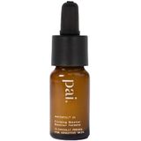 Pai - Phytofill™ - Straffungs-booster - age Confidence Booster Notox