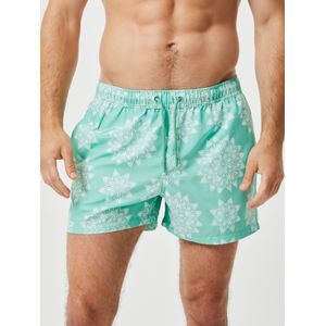 Bjorn Borg Print Swim Shorts, heren zwembroek, mintgroen dessin