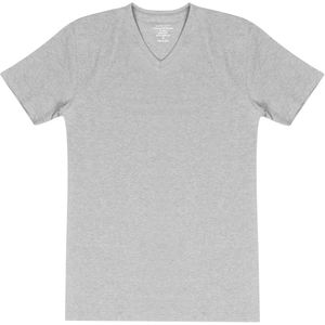 Claesen's Basics T-shirt (2-pack), heren T-shirt V-hals, grijs