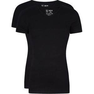 RJ Bodywear Everyday Leeuwarden T-shirts (2-pack), heren rib T-shirts V-hals, zwart -  Maat: M