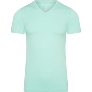 RJ Bodywear Pure Color T-shirt (1-pack), heren T-shirt met V-hals, mint