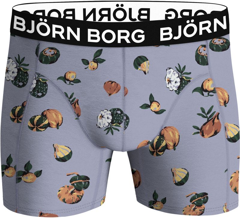 Björn Borg - Microfiber Boxers - Herenboxers - Gerecycled Polyester - Middelhoge Taille