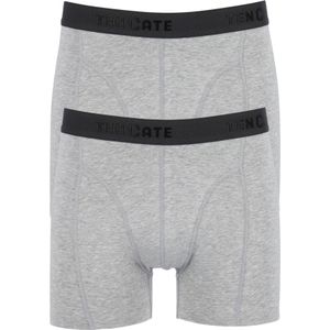 TEN CATE Basics men shorts (2-pack), heren boxers normale lengte, grijs melange -  Maat: L