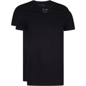 RJ Bodywear Everyday Gouda T-shirts (2-pack), heren T-shirts V-hals smal, zwart -  Maat: L