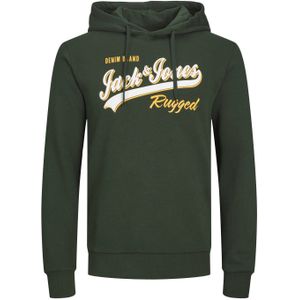 JACK & JONES Logo sweat hood regular fit, heren hoodie katoenmengsel met capuchon, groen