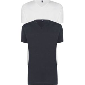 ALAN RED T-shirts Vermont (2-pack) - V-hals - wit en antraciet grijs
