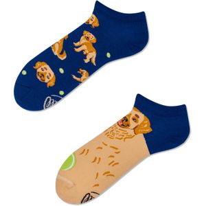 Many Mornings unisex enkelsokken, Golden Boy low