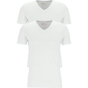 TEN CATE Basics men T-shirt (2-pack), heren T-shirts V-hals, wit -  Maat: L