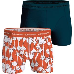 Bjorn Borg Cotton Stretch boxers, heren boxers normale lengte (2-pack), multicolor