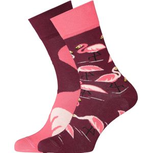 Many Mornings sokken, Pink Flamingo - Unisex - Maat: 35-38