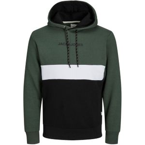 JACK & JONES ESSENTIALS Hoodie JJEREID Groen