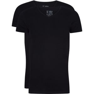 RJ Bodywear Everyday Den Bosch T-shirts (2-pack), heren stretch T-shirts V-hals, zwart -  Maat: L