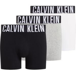 Calvin Klein Boxer Briefs (3-pack), heren boxers extra lang, zwart, grijs, wit -  Maat: M