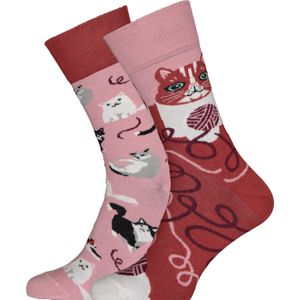 Many Mornings unisex sokken Playful Cat - Unisex - Maat: 43-46