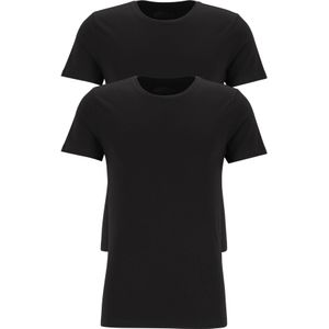 TEN CATE Basics men T-shirt (2-pack), heren T-shirts O-hals, zwart -  Maat: L