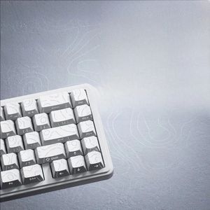 Topografische Keycaps 4.0-versie Shine Through 97/130 Key PBT Cherry Profile Side Print Backlit voor MX Gamer mechanisch toetsenbord