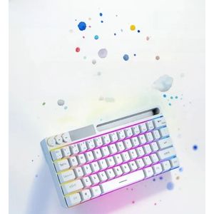 AULA F3061 Mechanisch Touch Feel-toetsenbord 61 toetsen Bedraad minitoetsenbord RGB-achtergrondverlichting Toetsenbord Desktop Laptop Speltoetsenbord
