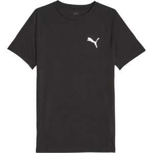 Puma evostripe t-shirt in de kleur zwart.