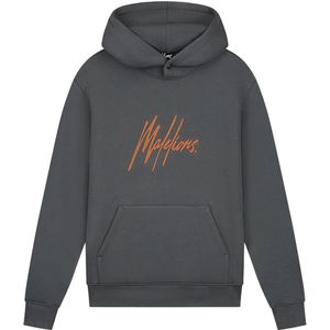 Malelions striped signature hoodie in de kleur grijs.