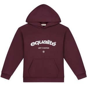 Equalitã© celeste oversized hoodie in de kleur paars.