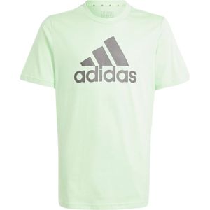 Adidas essentials big logo t-shirt in de kleur groen.