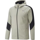 Puma evostripe warm full-zip hoodie in de kleur grijs.