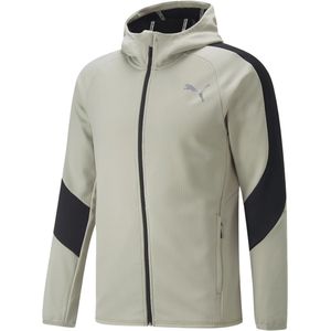 Puma evostripe warm full-zip hoodie in de kleur grijs.