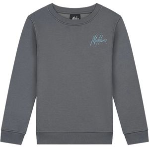 Malelions striped signature sweater in de kleur grijs.