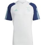 Ajax training shirt 23/24 in de kleur wit.