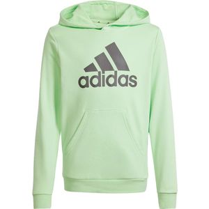 Adidas big logo essentials hoodie in de kleur groen.