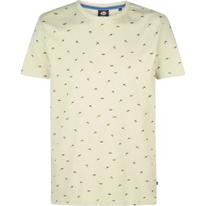 Petrol industries ss aop t-shirt in de kleur ecru.