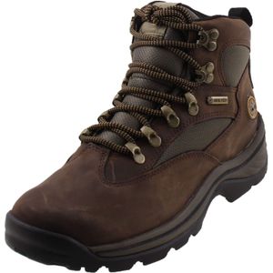 Timberland chocorua goretex trail 2 hiker in de kleur bruin.