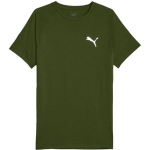Puma evostripe t-shirt in de kleur groen.