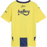 Fenerbahã§e home jersey replica in de kleur geel.