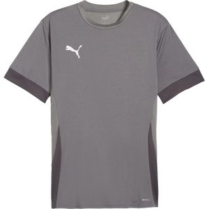 Puma teamgoal matchday t-shirt in de kleur grijs.