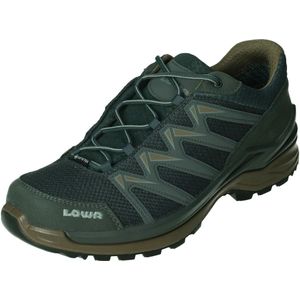 Wandelschoen lowa terrios gtx lo dark brown rust Wandelschoenen kopen Lage prijs beslist