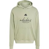 Adidas bl ft hoodie in de kleur groen.