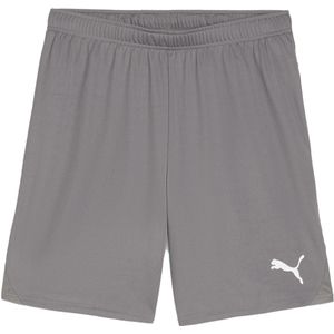 Puma teamgoal short in de kleur grijs.