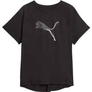 Puma evostripe t-shirt in de kleur zwart.