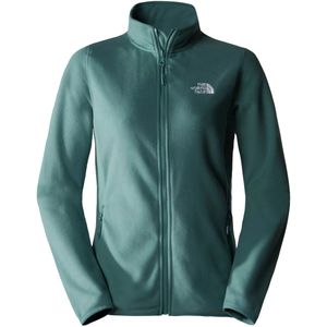 The north face 100 glacier full-zip fleece hoodie in de kleur groen.