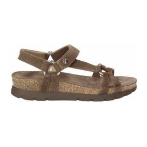 Sandaal Panama Jack Women Sally B7 Velour Stone-Schoenmaat 39