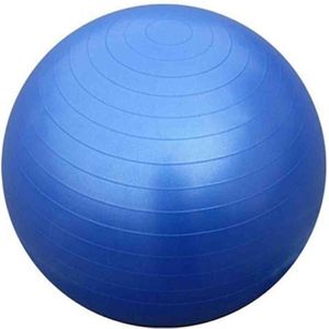 Universele gymbal fitnessbal (75 cm)