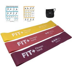 Fit+ Mini bands set 3 stuks