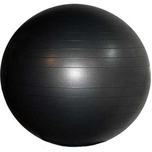 Universele gymbal fitnessbal (75 cm)