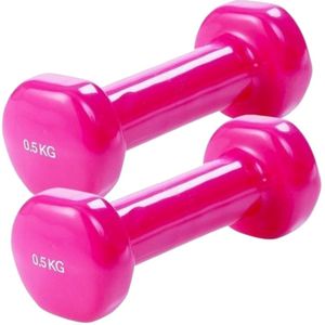 Vinyl dumbell set 2 x 0,5 kg