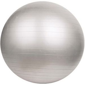 Universele gymbal fitnessbal (55 cm)